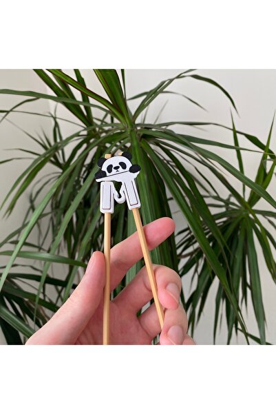 PUREYSMA Panda Stick Auxiliary Apparatus (Set of 4) | 3D Chopstick Educational Clip for Kid & Adult