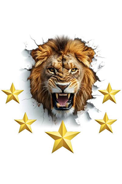 Dikkat Ajans 5Th Star Special -Mod.5- Sticker (3 Ad.)