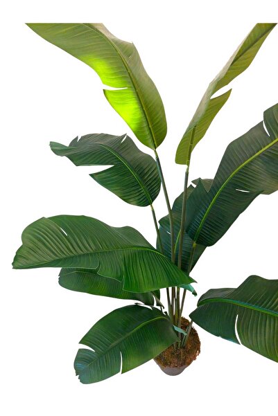 MAKİ DEKOR YAPAY STARLİÇE ISLAK DOKULU 9 GENİŞ YAPRAKLI 170 CM DEKORATİF,MODERN SALON AĞACI