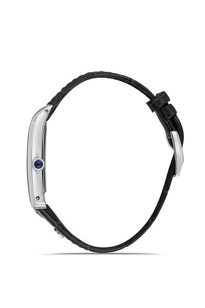 Momentus Cm365S-02Bs Men's Wrist Watch