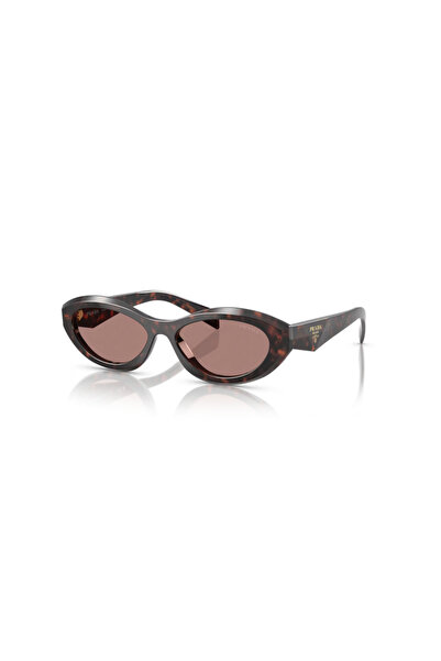 Prada Women Irregular Knight Sunglasses- Pr 26zs - Lense Size:55mm - Root Tortoise