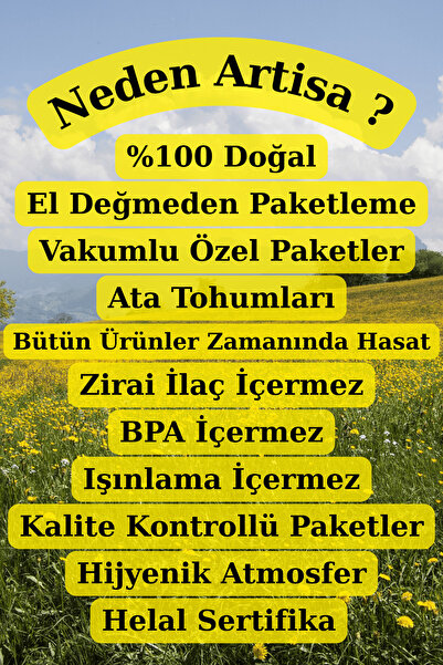 Artisa Doğal Pelin Otu 100 gr ( Taze Mahsül, Katkısız, Ekonomik )