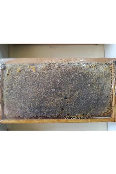 OZMUŞ BAL Şekersiz Kekik Petek Çıta Bal 3,100gr