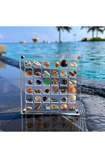 ateşneon deniz kabuğu tutucusu