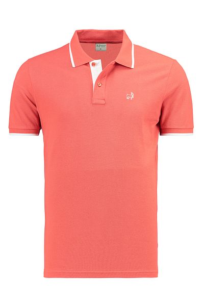 ANTHONY JACKSON Premium Men's Polo Neck T-Shirt Morelli