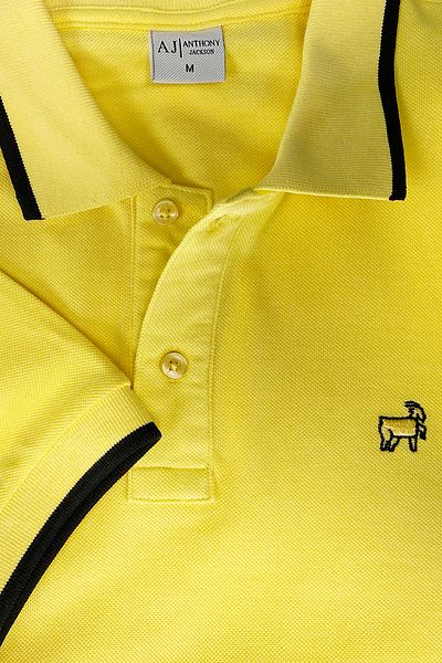 ANTHONY JACKSON Premium Men's Polo Neck T-Shirt Montero