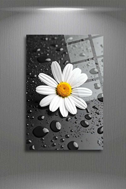 HMDS CONCEPT Tablou decorativ din sticlă Daisy 302
