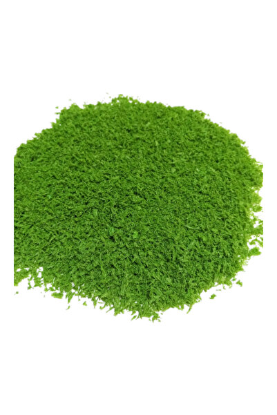 Foxart Yeşil Kırpıntı Sünger - Ağaç Tozu - Yapay Çim 30 Gr.