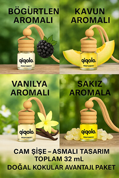 OEM Qiqolo 4’lü Araç Kokusu Seti – 4 Farklı Aroma Tek Pakette, Cam Şişe Asmal...