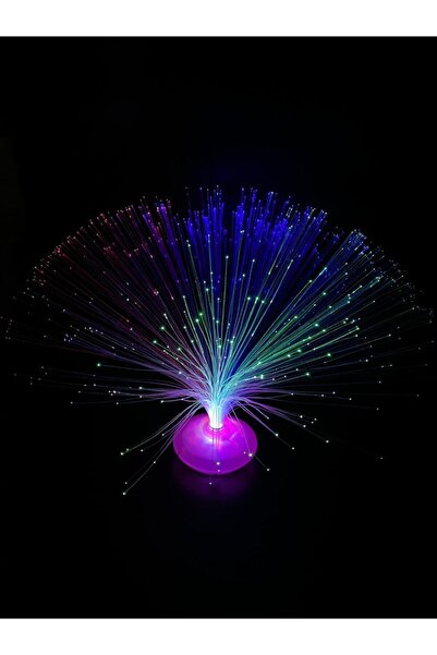 Genel Markalar Işıklı Püsküllü Dekoratif Gece Lambası, Şık ve Renkli Tasarım