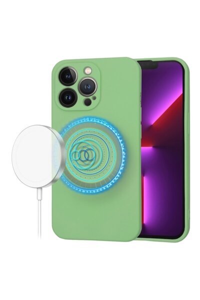 Diversity Husa Protectie pentru iPhone 13 Pro, Protect, S84, Panza, Mint Luck...