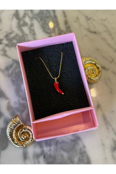 youngsem Red Pepper Necklace |   Women's Steel Necklace