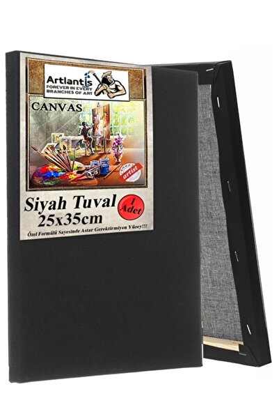 Artlantis Siyah Tuval 25x35 cm 1 Adet Astarlı Kare Tuval Resim Tuvali Siyah 2...