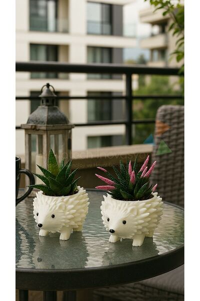 NOVATECH İNOVASYON KİRPİ Figürlü Sukulent & Kaktüs Saksı 2'li Dekoratif Saksı...