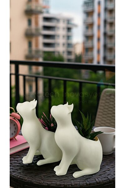 NOVATECH İNOVASYON KEDİ Figürlü Sukulent & Kaktüs Saksı 2'li Dekoratif Saksı ...