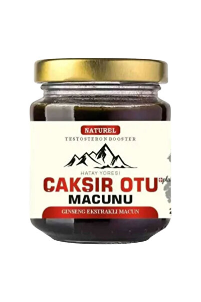 medicablends Çakşır Otu Macunu 240 GR