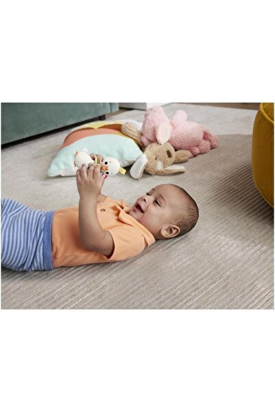 FISHER PRICE Fisher-Price Rattle Goose