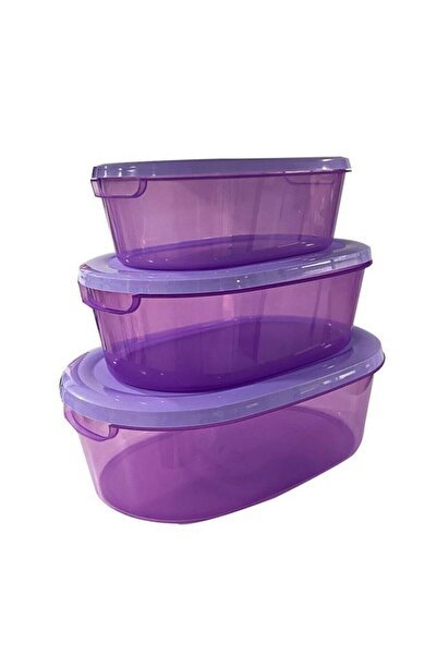 GBMOTION Set of 3 Storage Containers with Purple Lid – Food Grade, Refrigerator Compatible, 3 Different Sizes Oval Storage