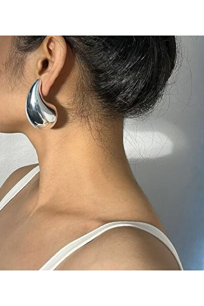 Ervalina Tear Drop Steel Earrings