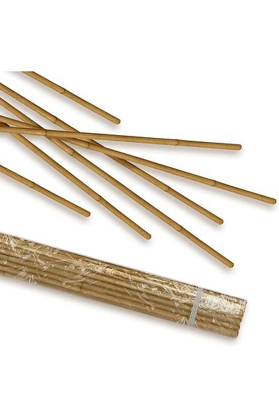 Egardenkart Bamboo Sticks for Plants - 90 Cm, 10 Pcs