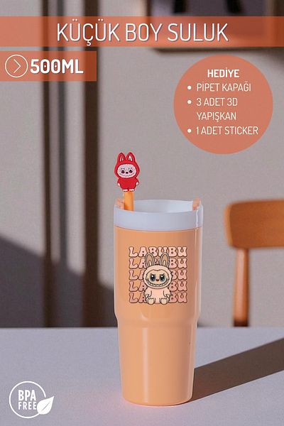 Nandy Home Labubulu Themed Small Size Colorful Water Bottle, 500ml. – Pipette Cover, 3D Adhesive and Label Gift