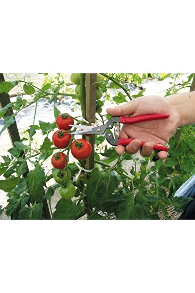 Ars 300L Meyve Toplama Makası 190 mm