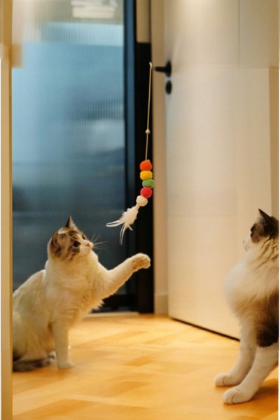 DodoJoy لعبة صنارة صيد القطط اللاصقة، لعبة صنارة صيد القطط، لعبة صنارة صيد ال...