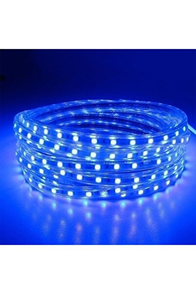SDX Market Furtun pentru bandă luminoasă SMD 5050, 10 m 600 LED-uri, albastru, cu alimentator inclus