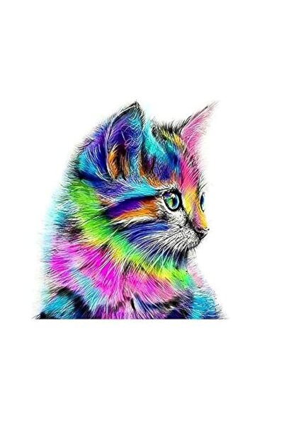 Generic لوحة ماسية خماسية الأبعاد لقطة ملونة، طلاء يدوي من مجموعة أدوات الماس...