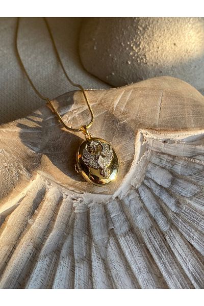 Brethils Far City Alya Necklace Phoenix Openable Photo Necklace 3 Different Models 60cm Guaranteed Invoice