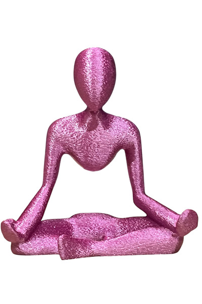 Alp in Alpes Yoga Themed Business Card Holder (Magenta)