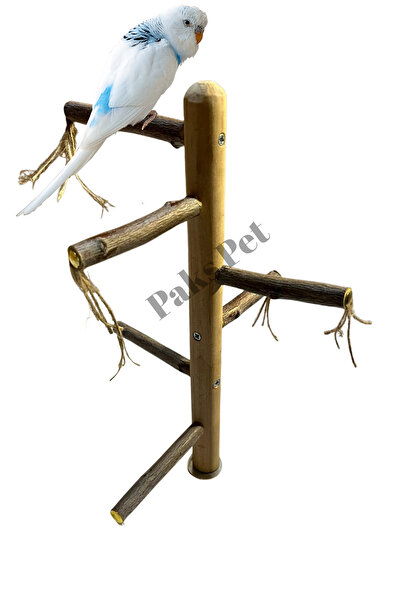 Paks Pet Natural Bird Perch on Cage Top, Natural Perch for Cockatiel, Budgie Premium Parrot Perch