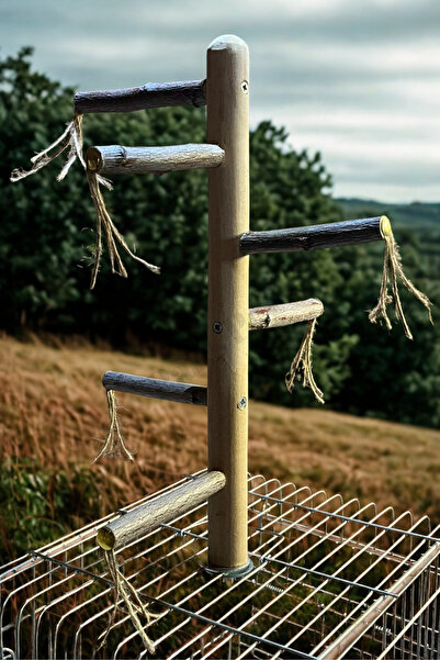 Paks Pet Natural Bird Perch on Cage Top, Natural Perch for Cockatiel, Budgie Premium Parrot Perch