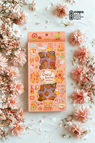 caps anlarınızı paylaştığınız ortağınız Caypbara 565 Adet Sevimli Şeffaf Stic...
