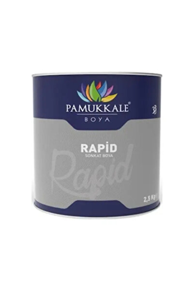 PAMUKKALE BOYA PAMUKKALE Rapid Sonkat Boya Siyah 9005 2,5 Kg