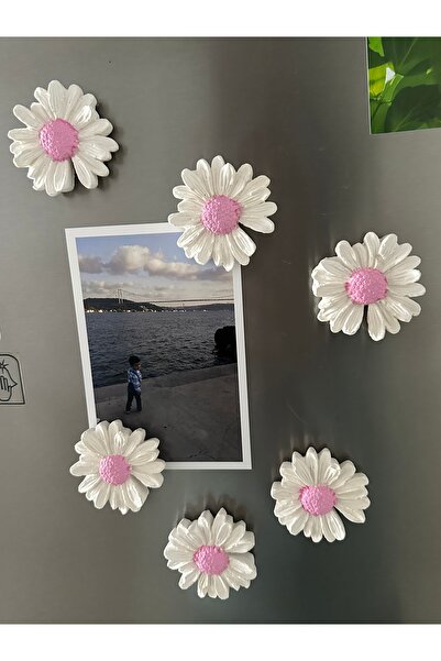evdeki atölyem 6’lı pembe papatya model biblo/dolap süsü