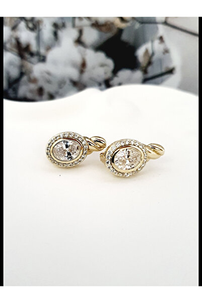 Reyna Steel Altın Çağı Yaşatan Çelik Takılar VIP XUPING KÜPE