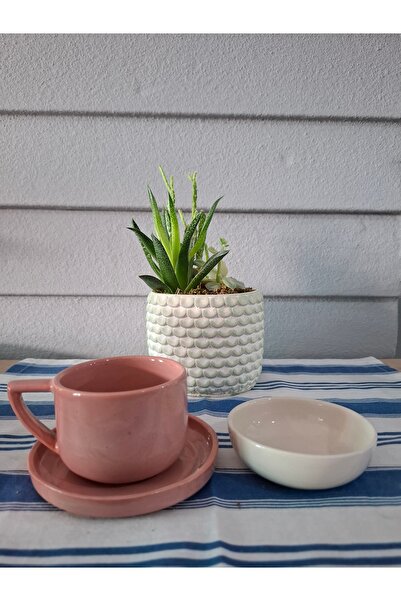 Home Kitchen Coffee Cup