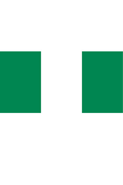 Ti Play Pictură de perete cu steagul țării NIGERIA 45x22CM Pictură din PVC fără cadru