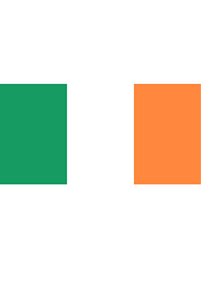 Ti Play FLAGĂ DEȚELEEAȚĂ IRLANDĂ 45x22CM PICTURĂ DE PERETE FĂRĂ CADRU PICTURĂ PVC