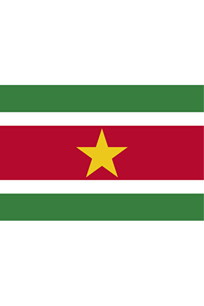 Ti Play ΣΗΜΑΙΑ ΤΗΣ ΣΟΥΡΙΝΑΜ 45x30CM ΠΙΝΑΚΑΣ ΤΟΙΧΟΥ ΧΩΡΙΣ ΚΑΔΡΟ PVC ΠΙΝΑΚΑΣ