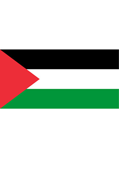 Ti Play PINTURA PE PERETE FĂRĂ CADRU PVC, STEAGUL PALESTINEI, 45x22CM