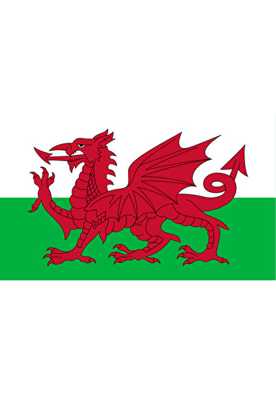 Ti Play PANGUL NAȚIONAL 45x27CM TABLO PENTRU PERETE FĂRĂ RAMĂ PVC