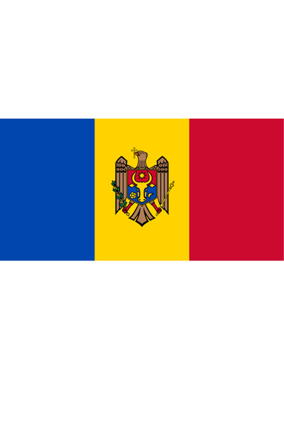 Ti Play DRAGAȚĂ DE PERETE 45x22CM FĂRĂ CADRU PENTRUMOLDAVIA,