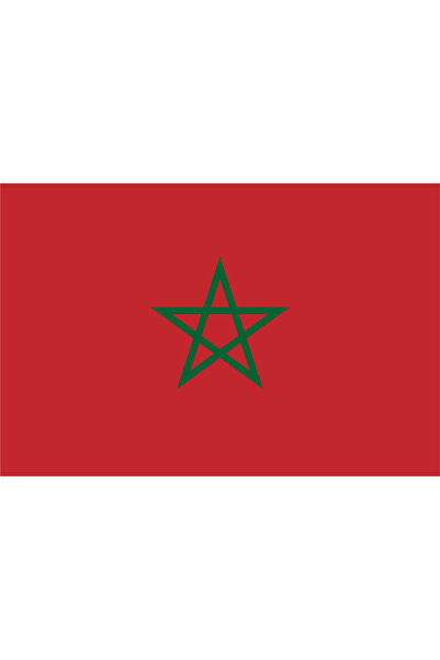 Ti Play Pictură de perete cu steagul țării FAS 45x30CM Pictură din PVC fără c...