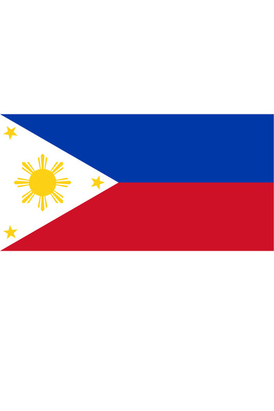 Ti Play Pictură de perete cu steagul țării Filipine 45x22CM Pictură din PVC f...