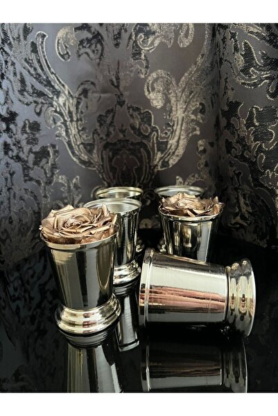 Glowvera 1 Adet Gümüş sunumluk Gül Kovası