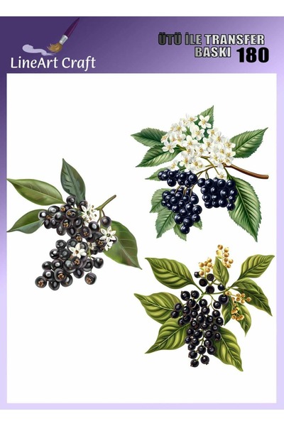 LİNEART Dalında Üzüm Desenli Ütü İle Transfer Baskı & Kumaş Transfer No:KMŞ18...