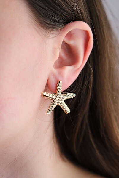 AURRARİ Gold Deniz Yıldızı Çizgili Küpe