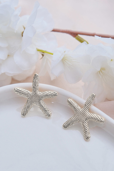 AURRARİ Silver Deniz Yıldızı Çizgili Küpe